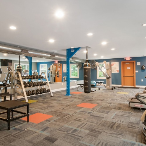 Fitness Center with Boxing Equipment Fitness Center with Boxing Equipment